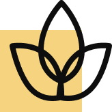 Contato com a natureza